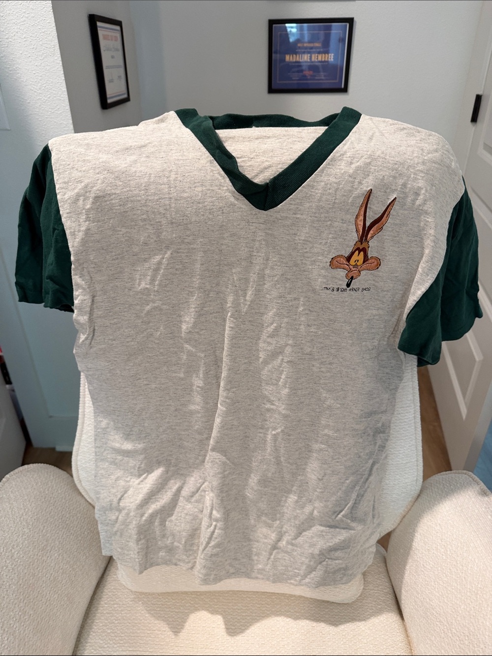 VINTAGE 1990’s Looney Tunes Wile E. Coyote Short Sleeve V-Neck Tee - Green/Gray